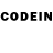 Псилоцибиновые грибы GOLDEN TEACHER Hurkyz Adilet