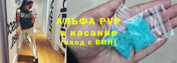 индика Кинешма