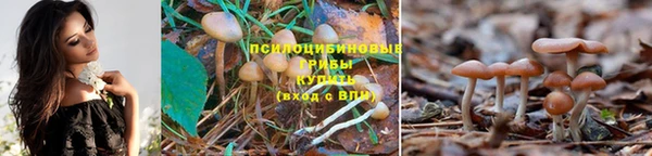 мдма Козловка