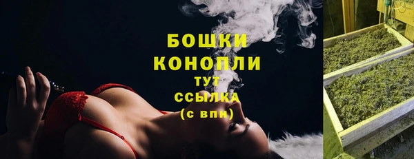 индика Кинешма