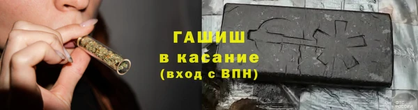 индика Кинешма