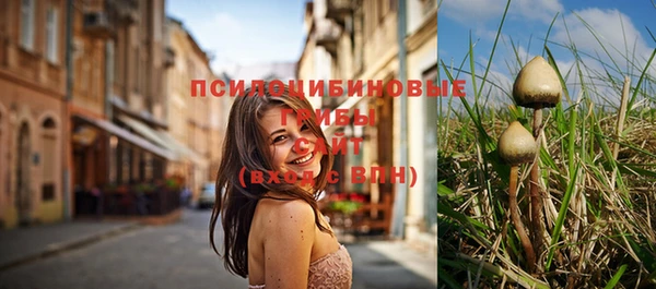 бутират Кодинск
