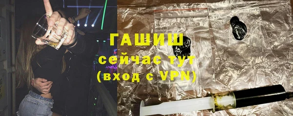 индика Кинешма