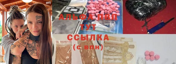 индика Кинешма