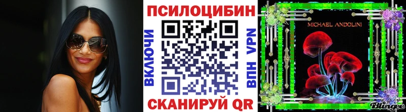 продажа наркотиков  Астрахань  Псилоцибиновые грибы прущие грибы 