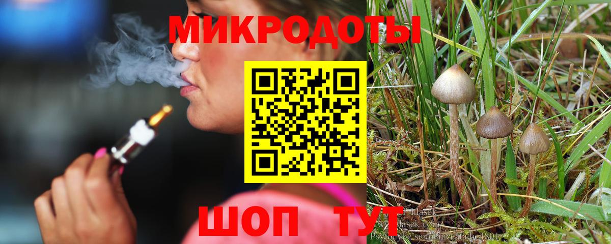 Галлюциногенные грибы Psilocybine cubensis Астрахань