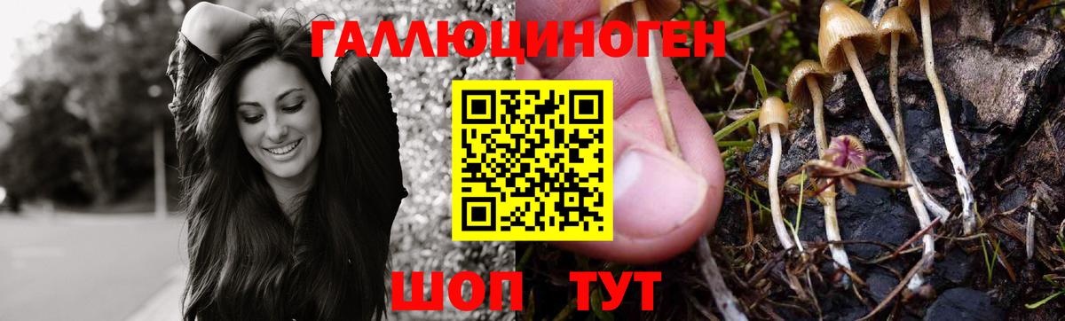 Галлюциногенные грибы MAGIC MUSHROOMS  Астрахань  Галлюциногенные грибы GOLDEN TEACHER 